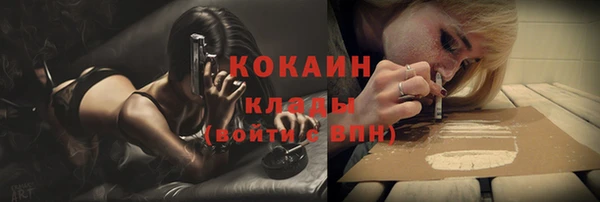 твердый Абаза