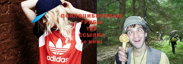 твердый Абаза
