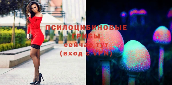 твердый Абаза