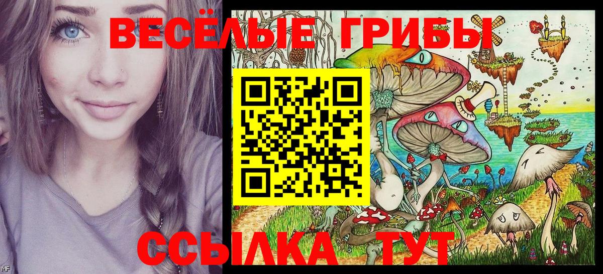 Галлюциногенные грибы Psilocybe Звенигород