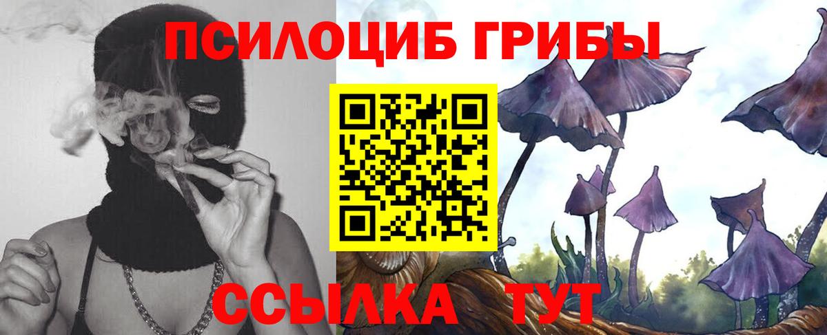 Галлюциногенные грибы прущие грибы  где можно купить   Вход с VPN  Звенигород  Псилоцибиновые грибы MAGIC MUSHROOMS 